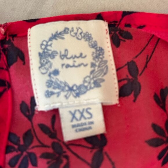 Francesca's Blue Rain Pink Floral Dress - Picture 6 of 6